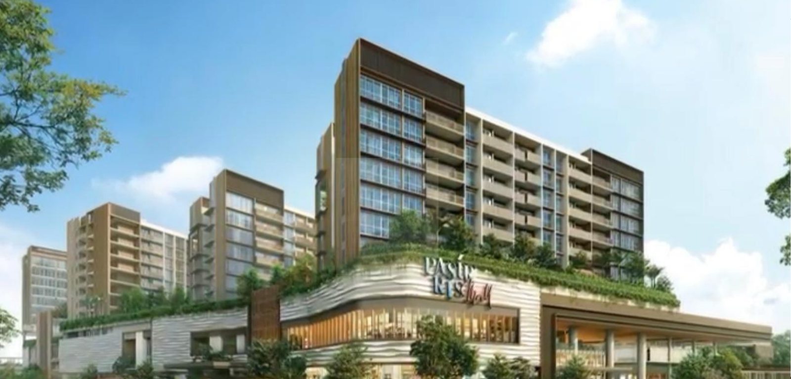 Pasir Ris 8 blocks